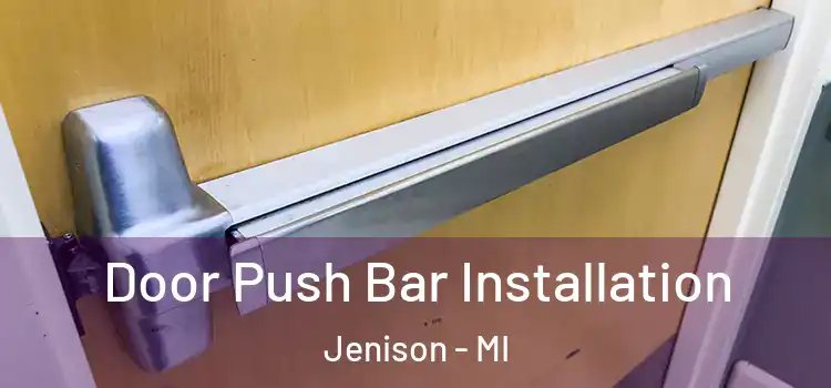 Door Push Bar Installation Jenison - MI