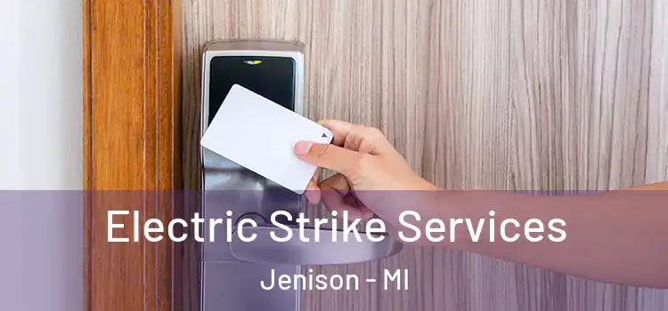 Electric Strike Services Jenison - MI