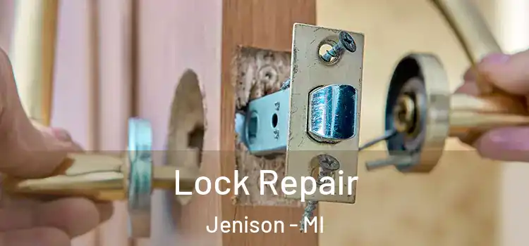 Lock Repair Jenison - MI